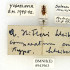 NYT: A. hitleri en el Museo de Historia Natural de Londres. El escarabajo recibió su nombre en honor a Hitler.