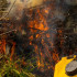 Incendios forestales en La Guajira