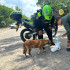 Policías de La Dorada , Caldas, instalan bebederos hechos de material reciclable para perros, gatos y aves en la ciudad. /