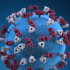 Virus de sarampión