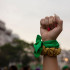 Milei describió a las activistas por el derecho al aborto como "asesinas de pañuelos verdes". 