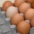 Los huevos tienen barreras físicas y químicas que los protegen de las bacterias.