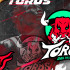 Logo de Toros del Valle