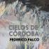 Cielos de Córdoba, por el escritor argentino Federico Falco.