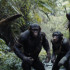De izq. a der.: Noa (Owen Teague), Soona (Lydia Peckham) y Anaya (Travis Jeffery) durante una de las escenas de ‘El planeta de los simios: nuevo reino’.