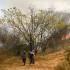 Incendios forestales en Natagaima (Tolima).