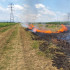 Incendios en cultivos de caña de azúcar en el Valle