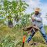 Gracias a Brigadas Agrarias, cientos de campesinos ahora tienen acceso a herramientas modernas para mejorar la producción de sus cultivos.