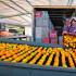 Un trabajador de una plantación de cítricos separa las mandarinas para la venta, el 6 de junio de 2024, en Piedade dos Gerais, en el estado de Minas Gerais (Brasil).