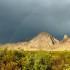 Texas