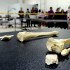 Centro de Abordaje Forense e Identificación