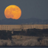 alcatraz
