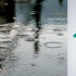 IDEAM LLUVIA