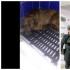 Perico Cifuentes es el nombre del perrito herido. El presunto agresor fue capturado, pero quedó libre.