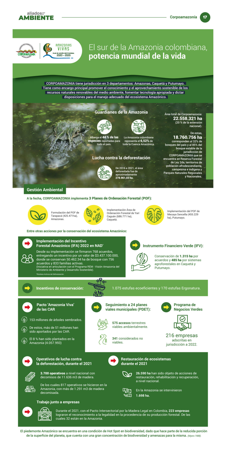 El sur de la Amazonia colombiana, potencia mundial de la vida