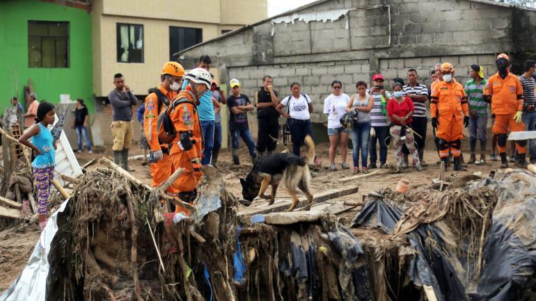 Con la ayuda de perros adiestrados, los socorristas intentan ubicar personas atrapadas debajo de toneladas de escombro.