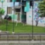 El Faraón, Keiler, Manrique.
