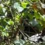 Asesinan a militares en Ecuador. Esto es lo que sabe.