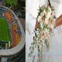 Matrimonio en El Campín