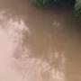 El operativo se desarrolló el río Puré, en la amazonía.