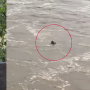 Emergencia en el río Güejar, Meta.