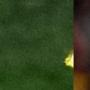 España vs. Portugal