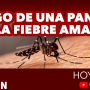 Videopodcast