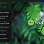 + Verde