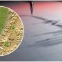 Reportan sismo en la madrugada de este lunes festivo