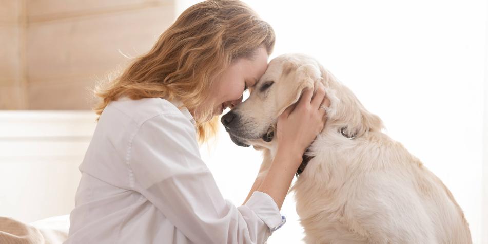 cualquier perro puede ser un perro de asistencia