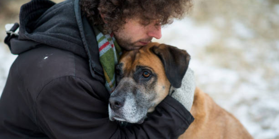 es ilegal negar un perro de servicio