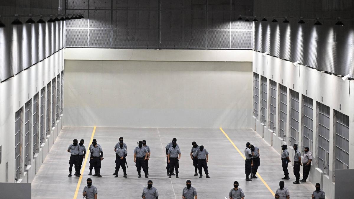 Ecuador busca ‘copiar’ la megacárcel de Nayib Bukele en El Salvador; ministros recorren el centro carcelario