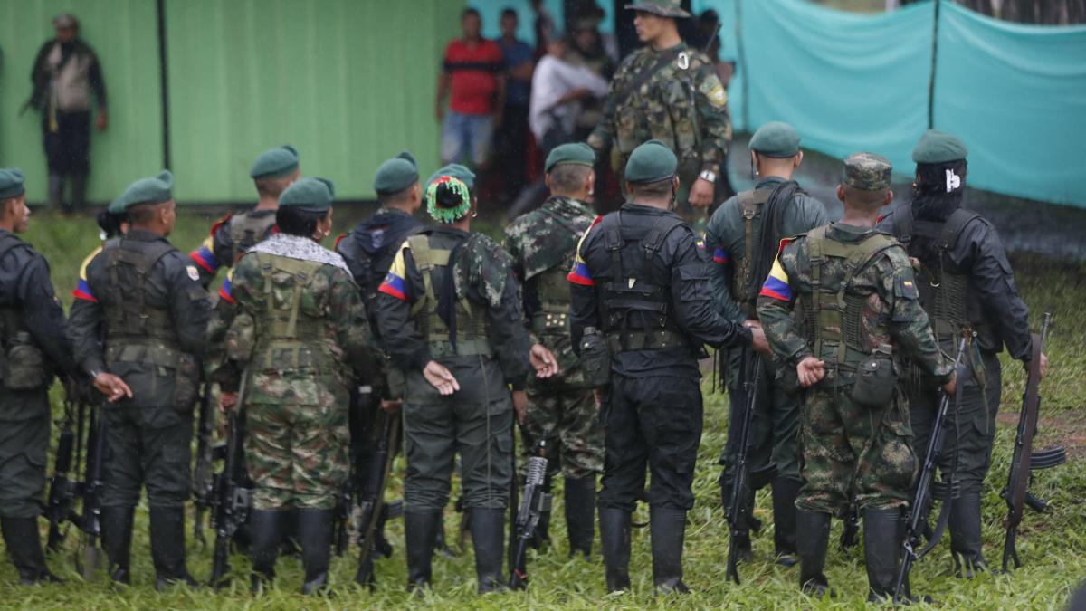 ¿Qué dice la ley de paz total sobre las zonas de concentración en las que el Gobierno busca ubicar a disidencias?