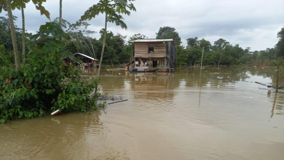 Mahkeme, çevresel faktörler nedeniyle yerinden edilen mağdurlar için bir kayıt defteri oluşturulmasını talep etti