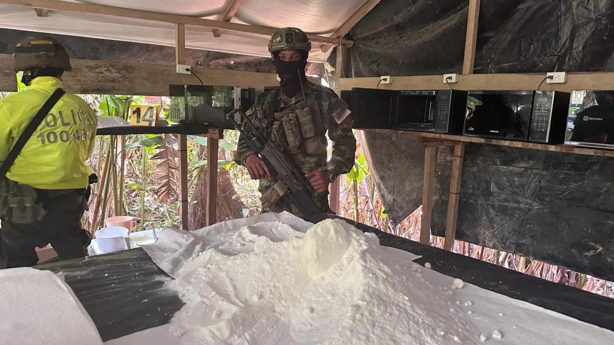 Kokain ele geçirme vakaları bu yıl 848 tona çıktı ancak üretim artmaya devam etti