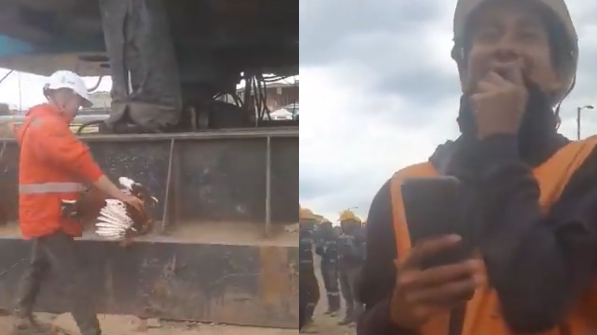 Habla la persona que denunció video de matanza de gallo en obras del metro de Bogotá: ‘Hacen un rezo’