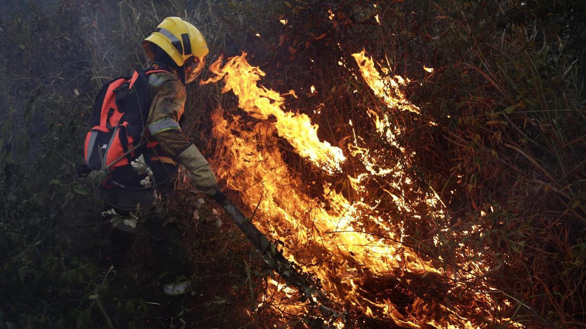 México registra 126 incendios forestales activos con afectación en 8,669 hectáreas