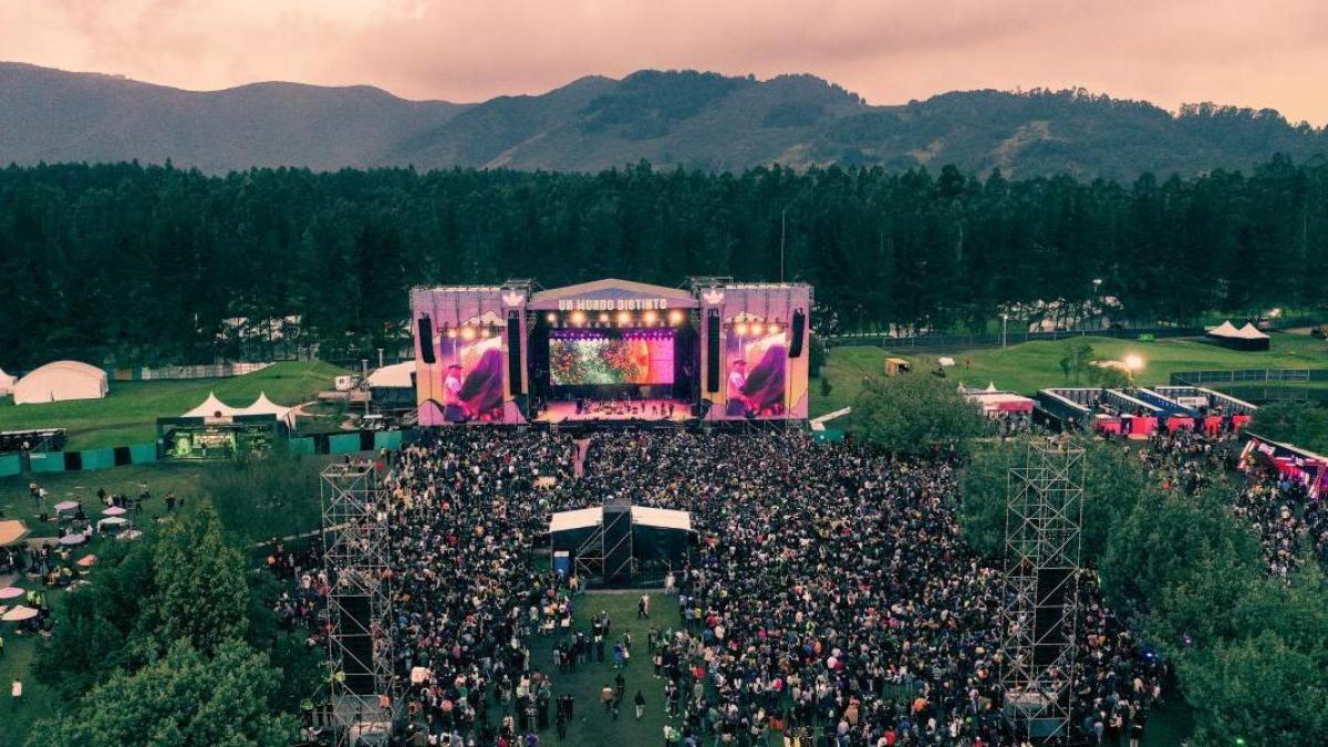 夢から音楽の巨人まで、15年の進化