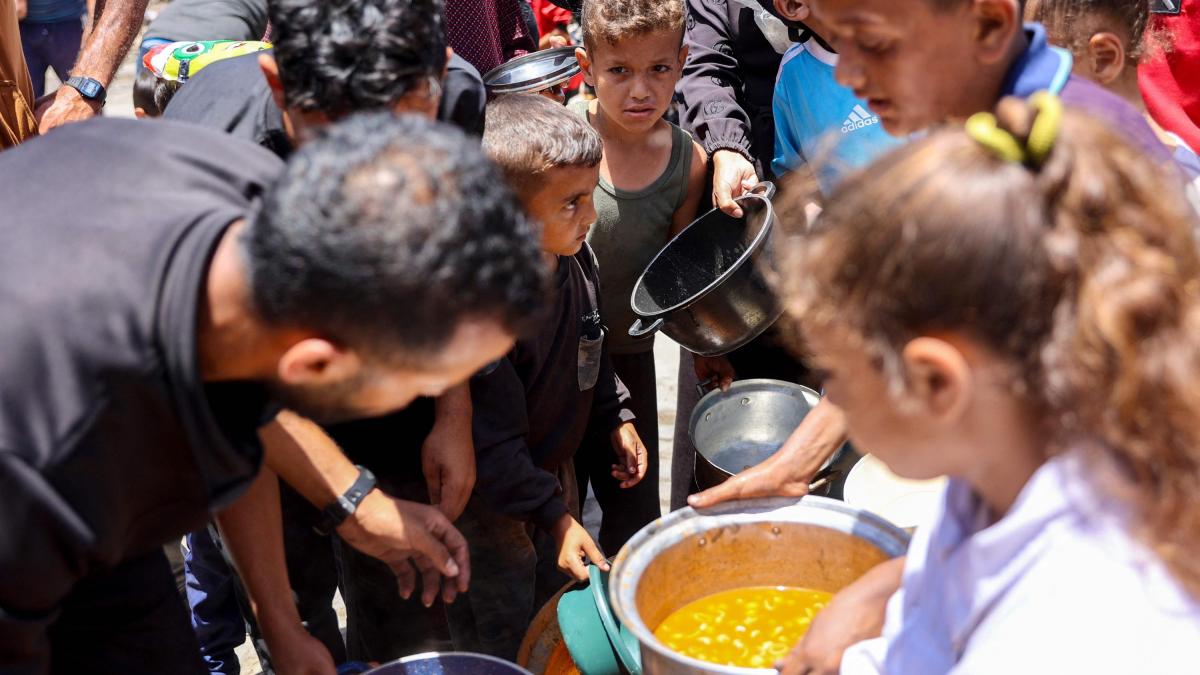 ONU denuncia que robaron convoy de más de 100 camiones con alimentos para Gaza; esto es lo que se sabe del incidente
