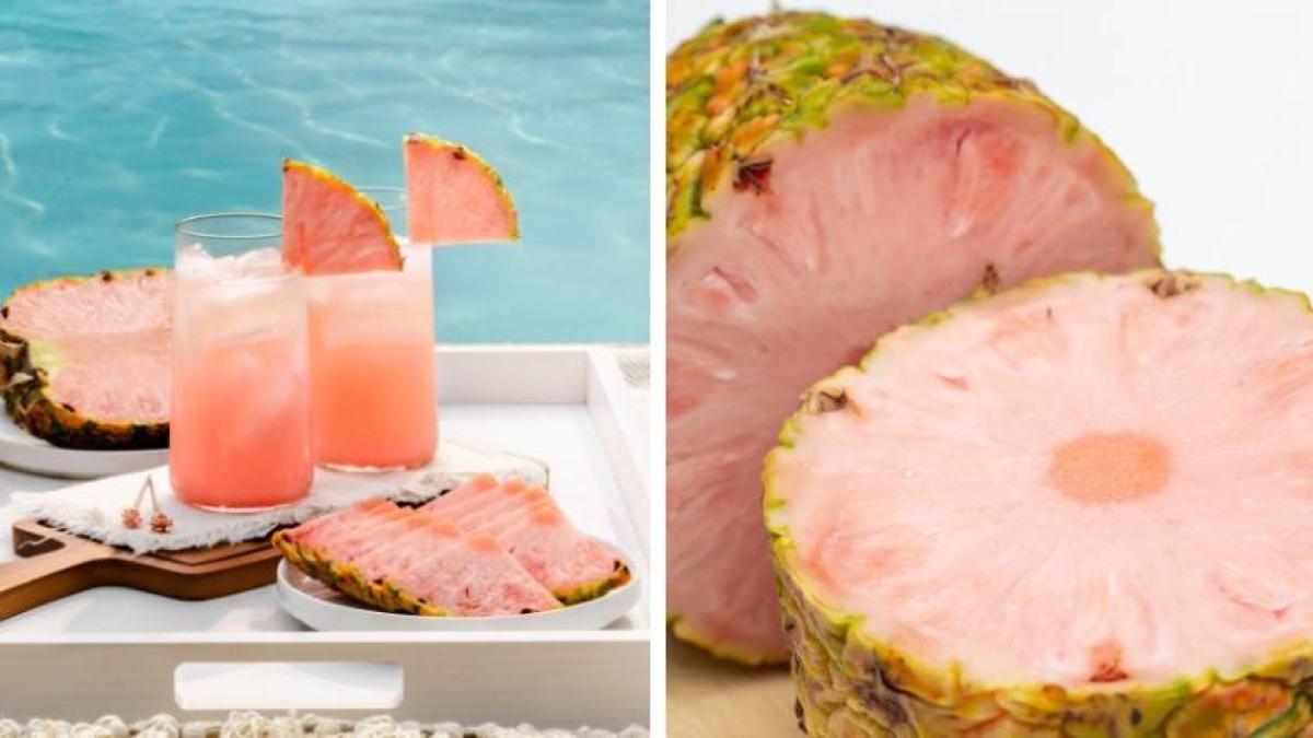 La piña rosada que solo crece en Costa Rica: ¿cuáles son sus beneficios ...