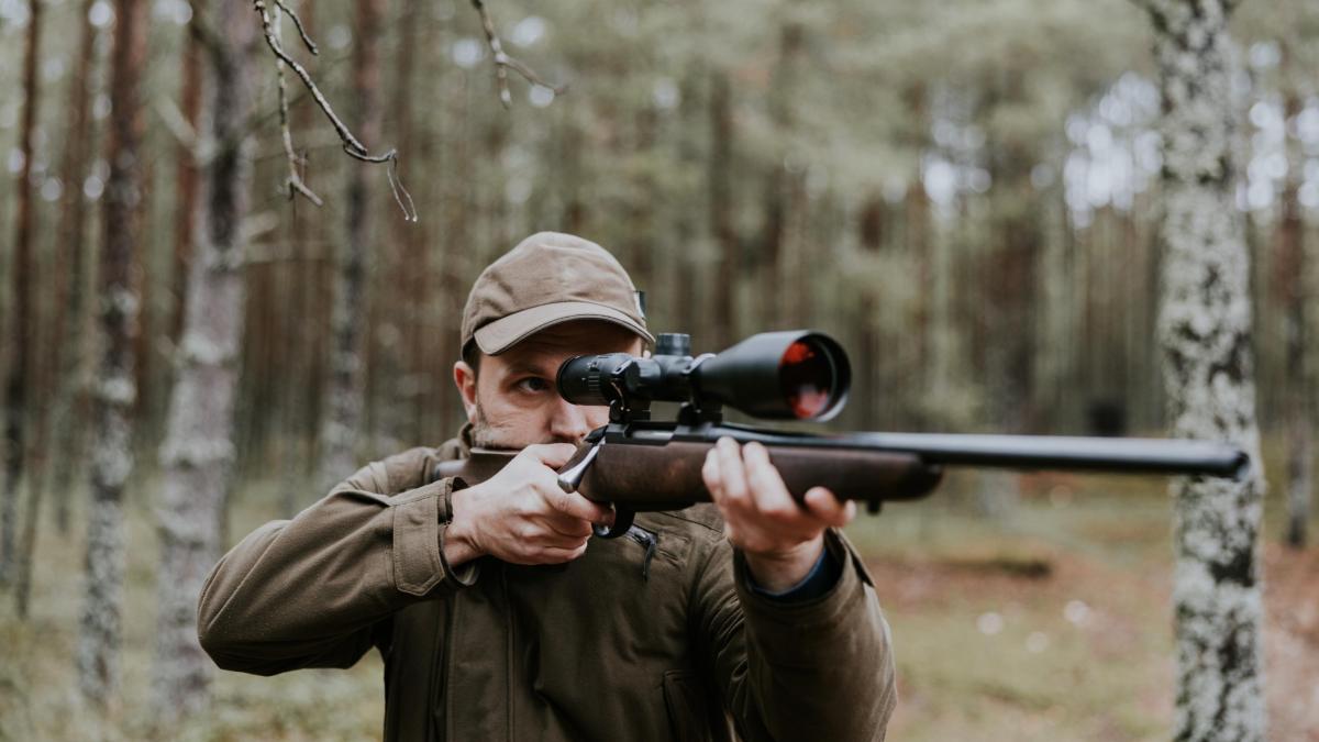 Texas legalizó esta polémica actividad para disparar a ciertos animales por deporte