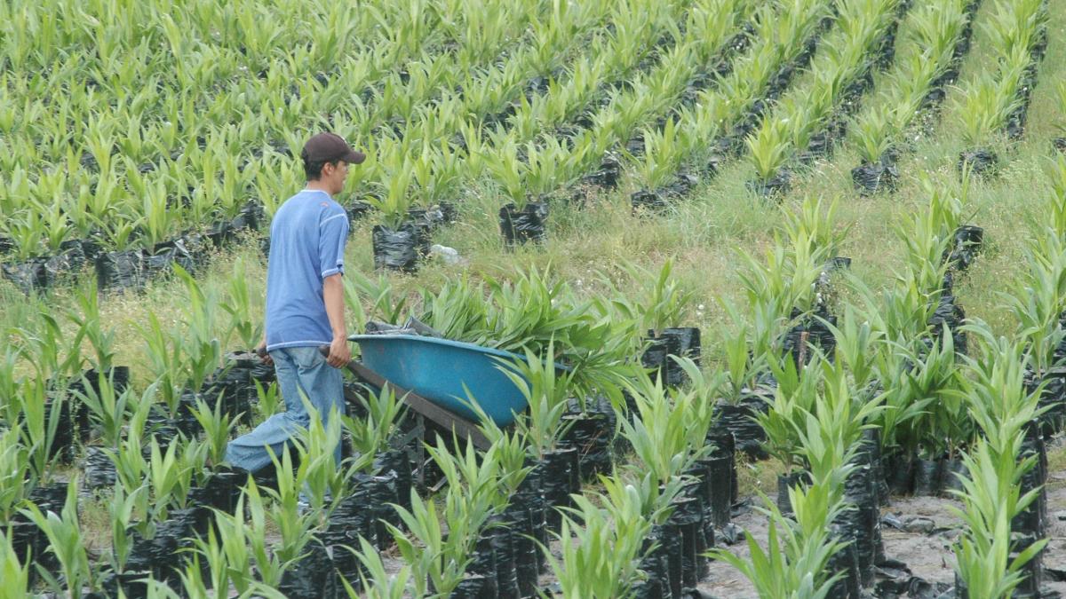 El agro y el sector público jalonaron el crecimiento de julio pero el comercio y la manufactura siguieron moderados