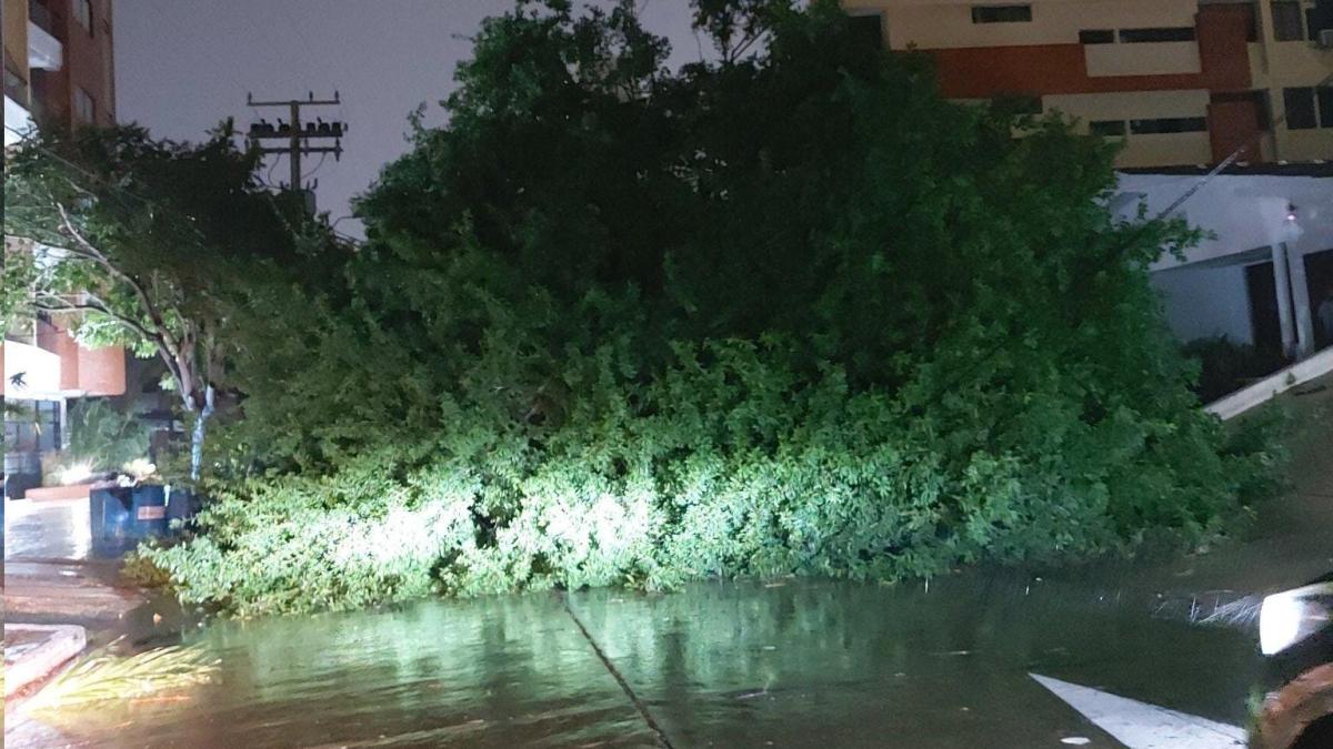 El impactante balance oficial de emergencias que dejó vendaval en Barranquilla: ¿hasta cuándo van estas condiciones climáticas?