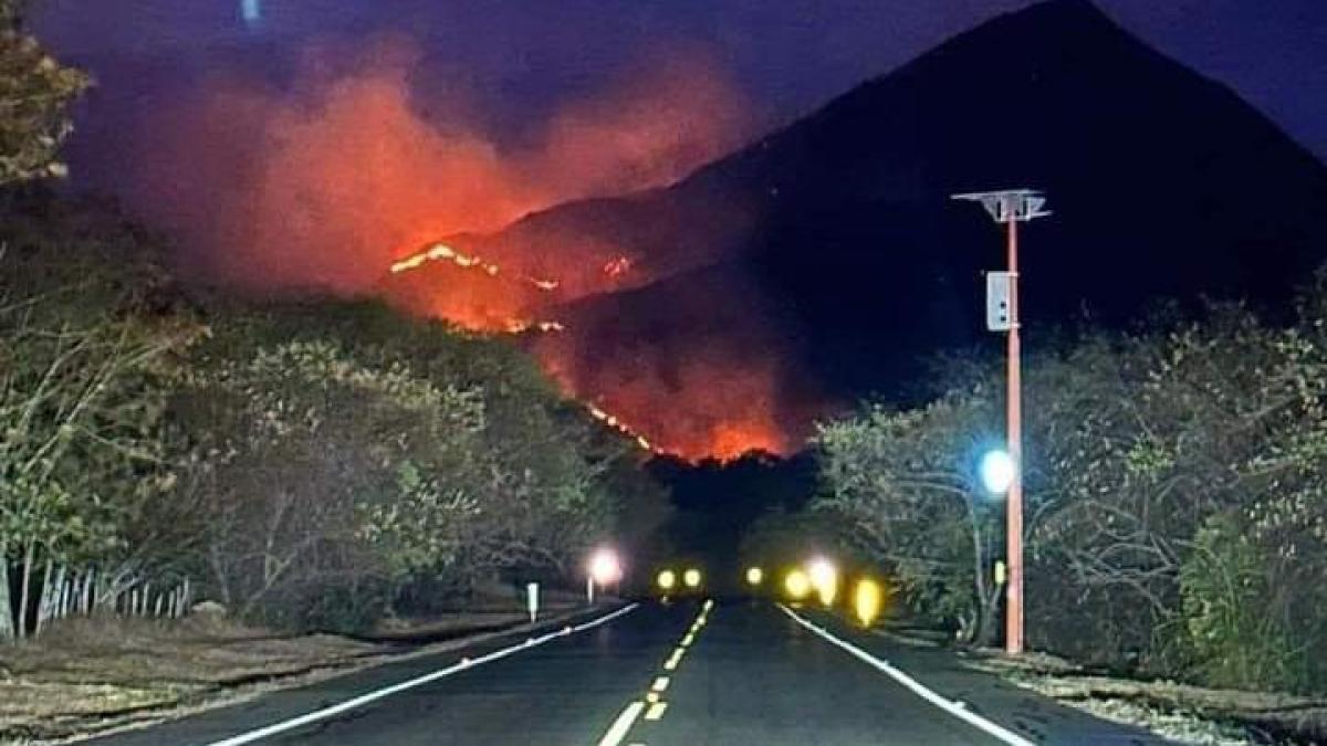 La crisis que atraviesa Tolima por cuenta de los incendios forestales: 'Las capacidades del departamento son muy limitadas'