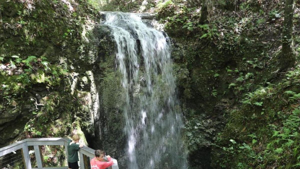 El icónico lugar de Florida que demuestra que sí hay cascadas en el estado del sol