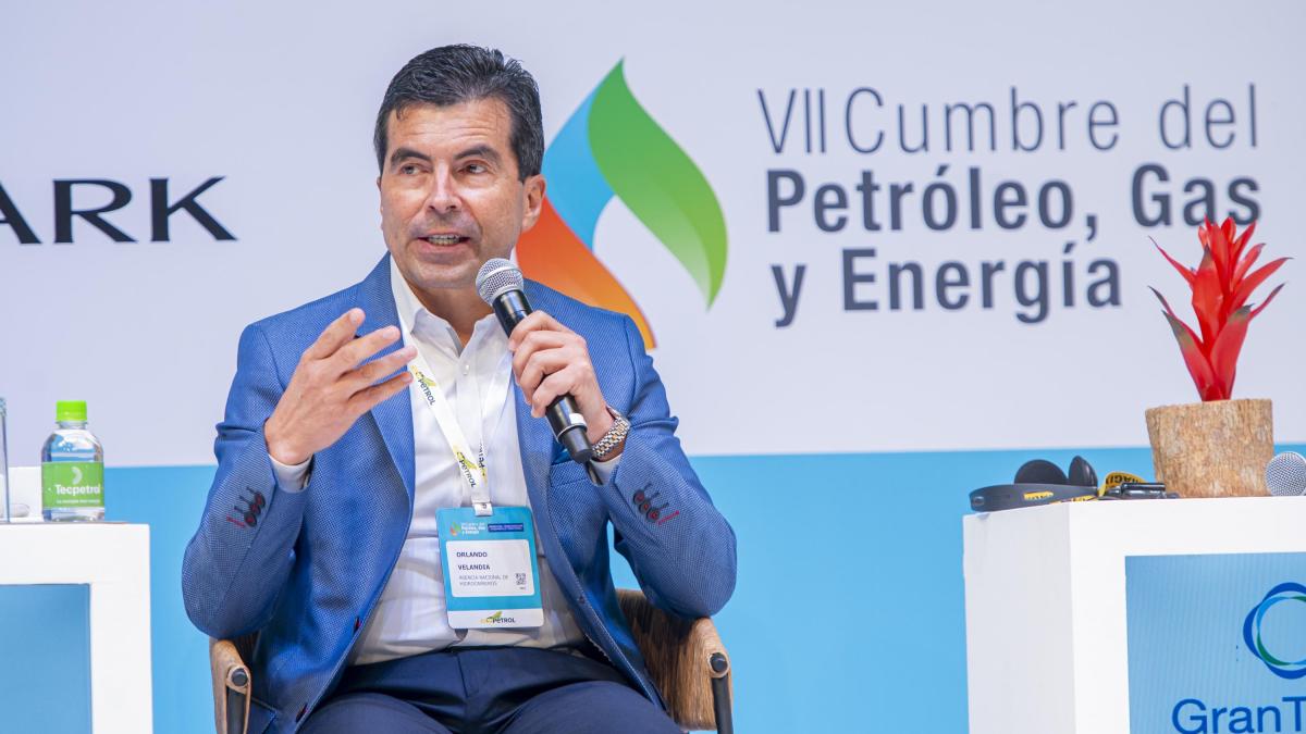 Freno a proyectos en costa afuera retrasará los tiempos para contar con más gas natural en Colombia: ANH