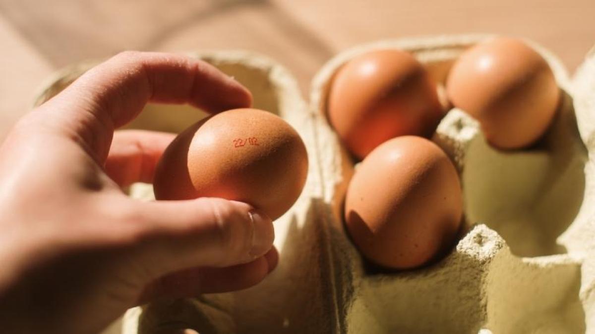 Ni Walmart, ni Aldi: esta es la cadena que vende los huevos más baratos, según la IA