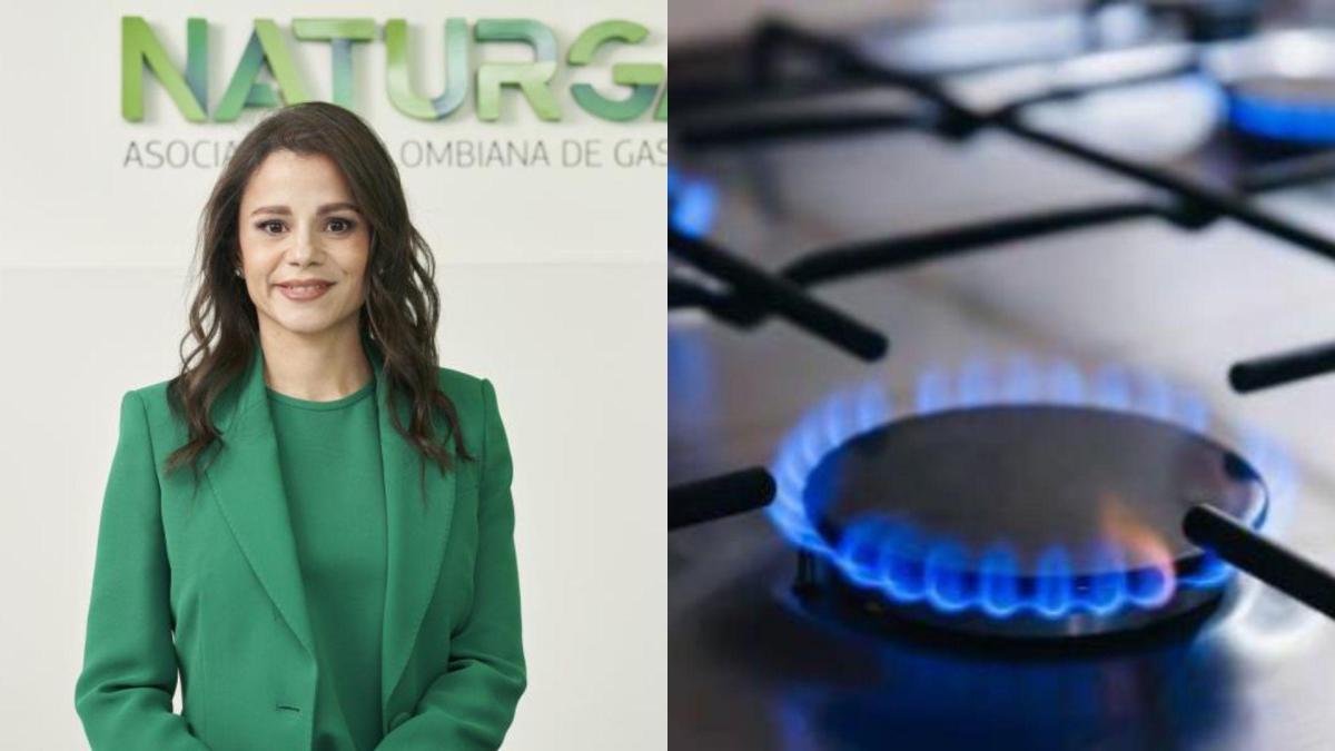 Colombia cubre el 17 % de su demanda de gas con importaciones, de no aumentar la exploración, la dependencia superaría el 50 % en 2029: Naturgas