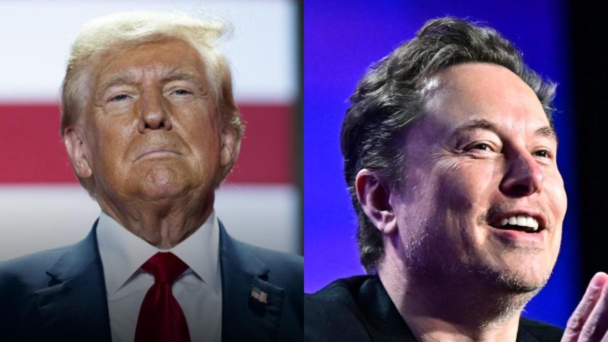 ¿Cambian los impuestos con Trump? La nueva app de Elon Musk que sembró dudas