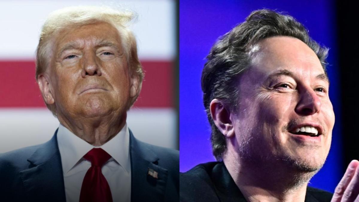 Lo que ganará Elon Musk, el dueño de X, si Donald Trump es el nuevo presidente de Estados Unidos